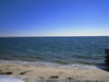My Gallery: Image